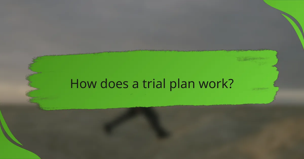 How does a trial plan work?