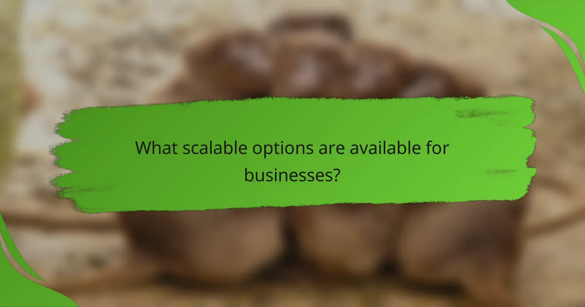 What scalable options are available for businesses?