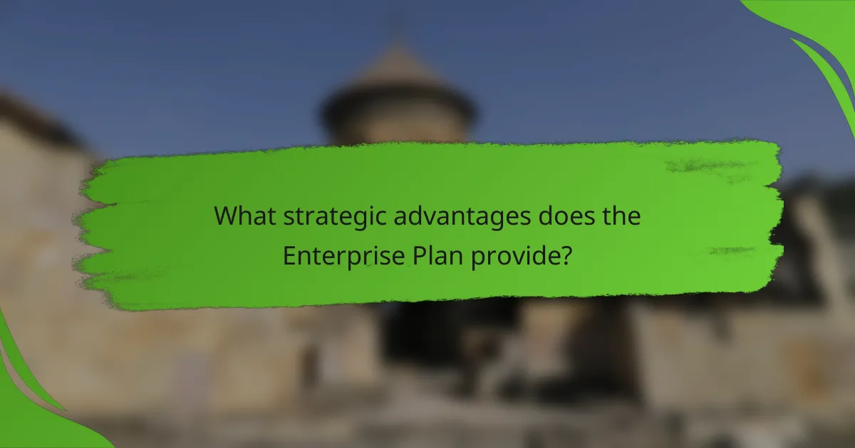 What strategic advantages does the Enterprise Plan provide?